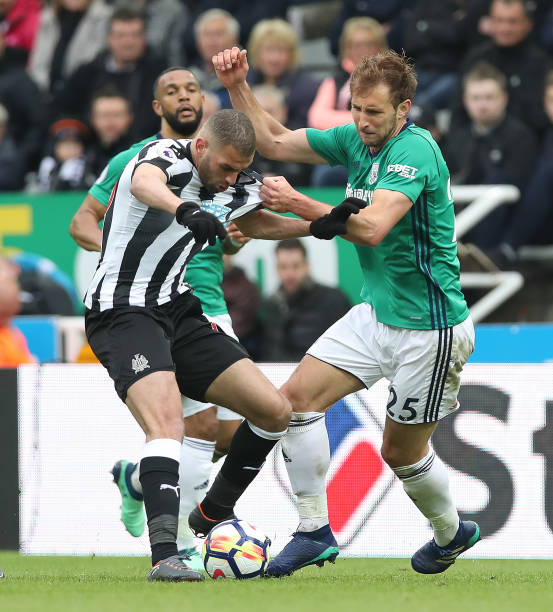 体育精神的 体育精神的